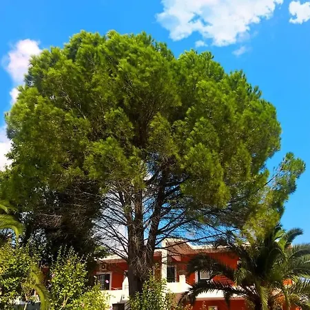 In - Emily Apartment Dassia (Corfu)
